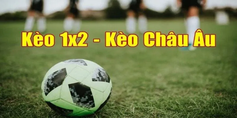 Hướng dẫn cách chơi kèo Châu Âu chi tiết cho người mới